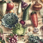 Bomo Art Budapest Papers- Vegetables 27.5 x 39 inch Sheet