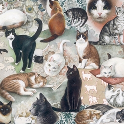Bomo Art Budapest Papers- The Nine Lives of Cats 27.5 x 39 inch Sheet
