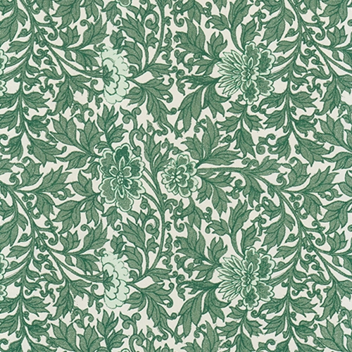 *NEW!* Tassotti Paper - Provence Green 19.5