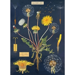 Cavallini Decorative Paper - Dandelion Chart 20"x28" Sheet