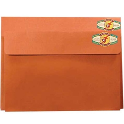 Star Products Red Fiber Art Envelopes & Expanding Portfolios