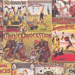 Rossi Decorated Papers from Italy - Circus 28"x40" Sheet