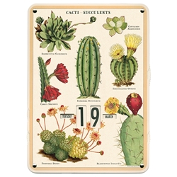 Cavallini Perpetual Calendar- Cacti and Succulents