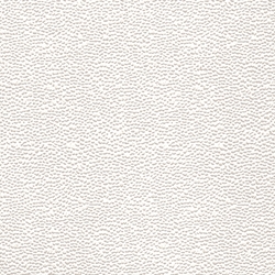 Embossed Glossed Pebbled - White 22x28" Sheet