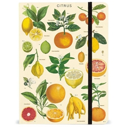 Cavallini Citrus Notebook