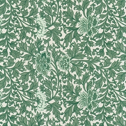 Tassotti Paper - Provence Green 19.5"x27.5" Sheet