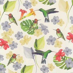 Tassotti Paper - Hummingbirds 19.5"x27.5" Sheet