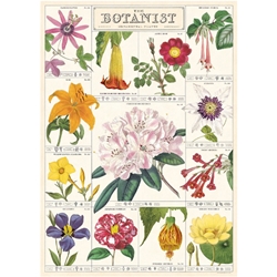 *NEW* Cavallini Decorative Paper Sheet - Botanist