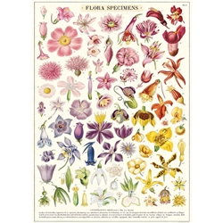 Cavallini Decorative Paper Sheet - Flora Specimens