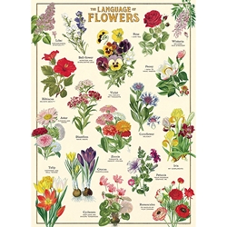 Cavallini Decorative Paper Sheet - Language of Flowers