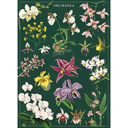 Cavallini Decorative Paper Sheet - Orchid