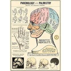 Cavallini Decorative Paper Sheet - Phrenology & Palmistry