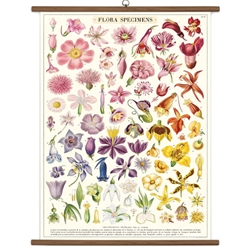 Cavallini Vintage School Chart - Flora Specimens