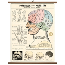 Cavallini Vintage School Chart - Phrenology & Palmistry