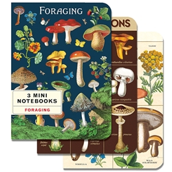 Cavallini Foraging Mini Notebook Set