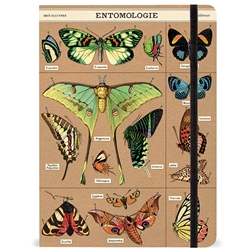 Cavallini Entomology Notebook