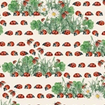 Tassotti Paper - Coccinelle 19.5" x 27.5" Sheet