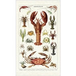 Cavallini Tea Towel- Crustaceans