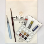 Professional Watercolor Sampler Set