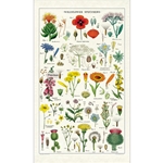 Cavallini Tea Towel- Wildflower