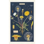 Cavallini Tea Towel- Dandelion