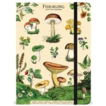 Cavallini Foraging Notebook