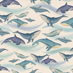 Tassotti Paper - Marine Mammals 19.5"x27.5" Sheet