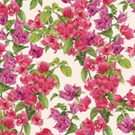 Tassotti Paper - Bougainvillea 19.5"x27.5" Sheet