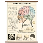 Cavallini Vintage School Chart - Phrenology & Palmistry