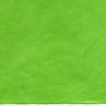 Nepalese Lokta Paper- Spring Green 20"x28" sheet