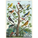 *NEW* Cavallini Decorative Paper - Birds in a Tree 20"x28" Sheet