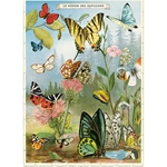 *NEW* Cavallini Decorative Paper - Butterflies 20"x28" Sheet