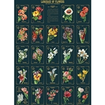 *NEW* Cavallini Decorative Paper - Language of Flowers 2 20"x28" Sheet