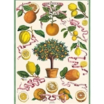 *NEW* Cavallini Decorative Paper - L'Orangerie 20"x28" Sheet