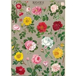 *NEW* Cavallini Decorative Paper - Roses 20"x28" Sheet